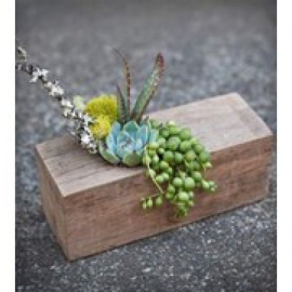 CHẬU GỖ TC NGUYÊN 2