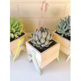 CHẬU TC GỖ MỘC