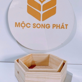 HỘP GỖ MSP 10