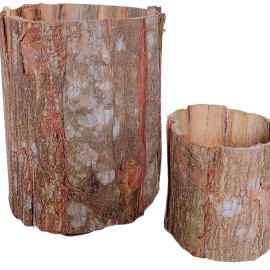 Hộp Tròn Vỏ Cây