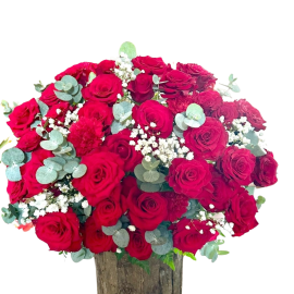 Hộp Trụ Vỏ Cây