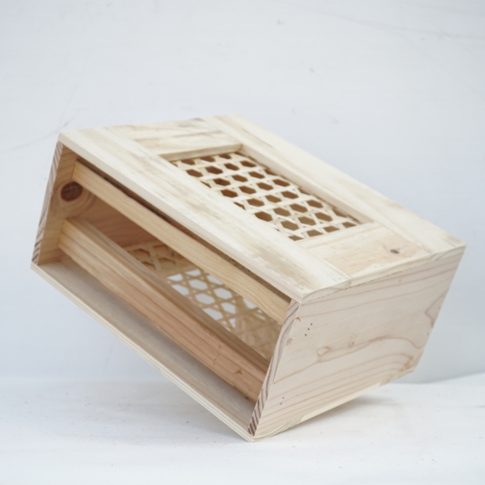 HỘP GỖ MSP 255